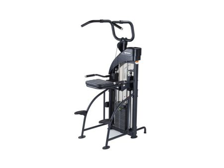 SportsArt Df-307 P711 Performance Dual Function Chin-Up Tricep Dip Supply