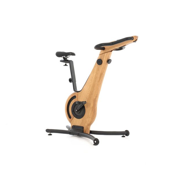 NOHrD Luxury Indoor Exercise Bike For Cheap