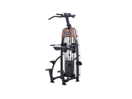 SportsArt N911 Status Assisted Chin-Up & Tricep Dip Online now