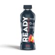 Ready Nutrition Sports Drink - 16oz Fashion