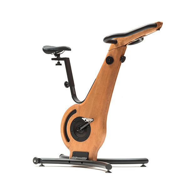 NOHrD Luxury Indoor Exercise Bike For Cheap