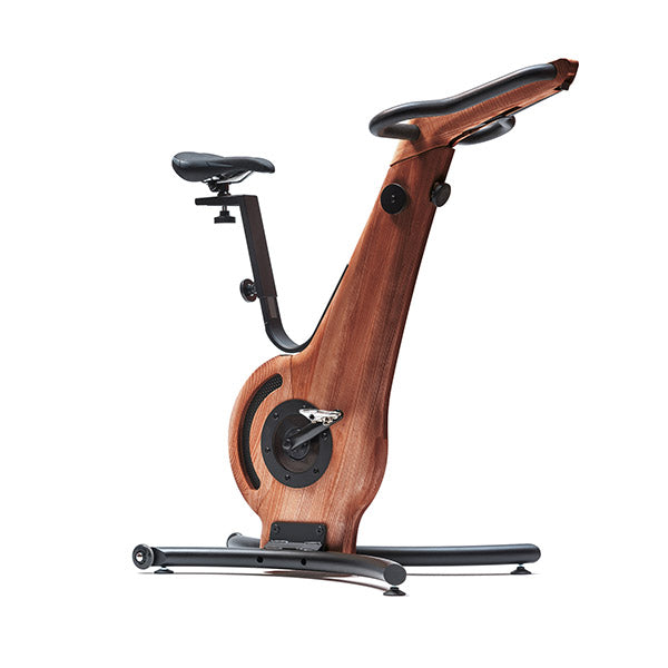 NOHrD Luxury Indoor Exercise Bike For Cheap