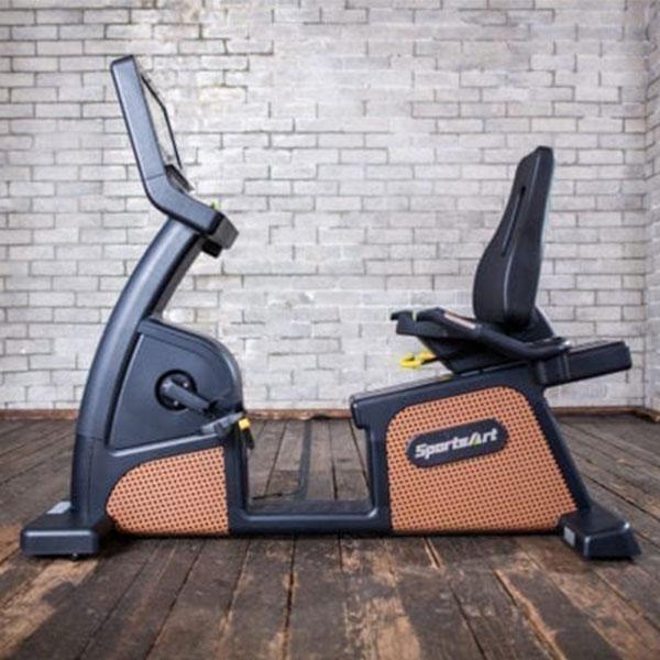 SportsArt C576R Status Eco-Natural Recumbent Bike Fashion